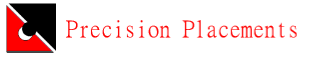 Precision Placements Logo